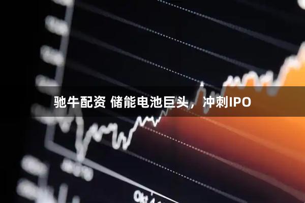 驰牛配资 储能电池巨头，冲刺IPO