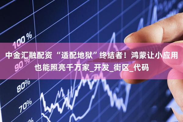 中金汇融配资 “适配地狱”终结者！鸿蒙让小应用也能照亮千万家_开发_街区_代码