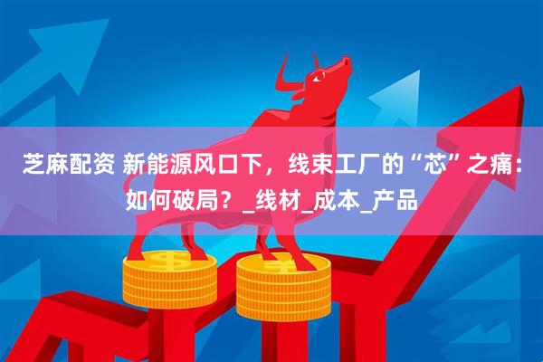 芝麻配资 新能源风口下，线束工厂的“芯”之痛：如何破局？_线材_成本_产品