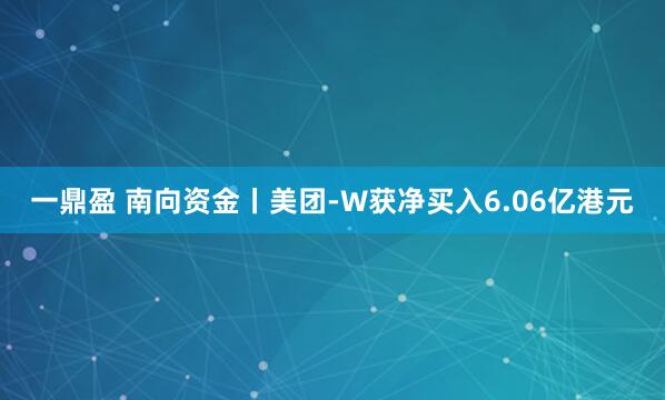 一鼎盈 南向资金丨美团-W获净买入6.06亿港元